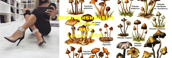 герыч Ельня