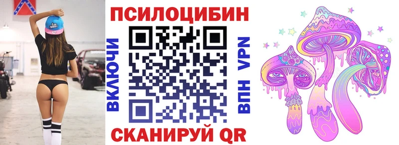 Купить где  Духовщина  Псилоцибиновые грибы мицелий 